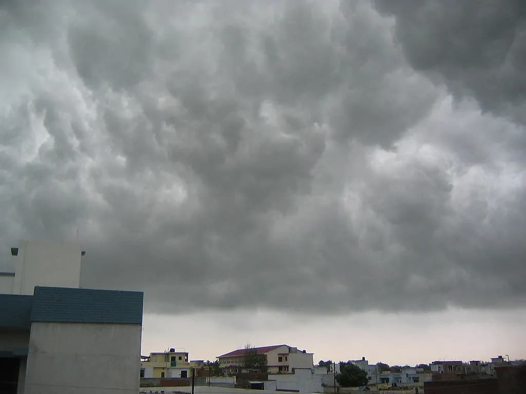 Monsun albo bryza: poznaj fascynujące różnice między tymi zjawiskami