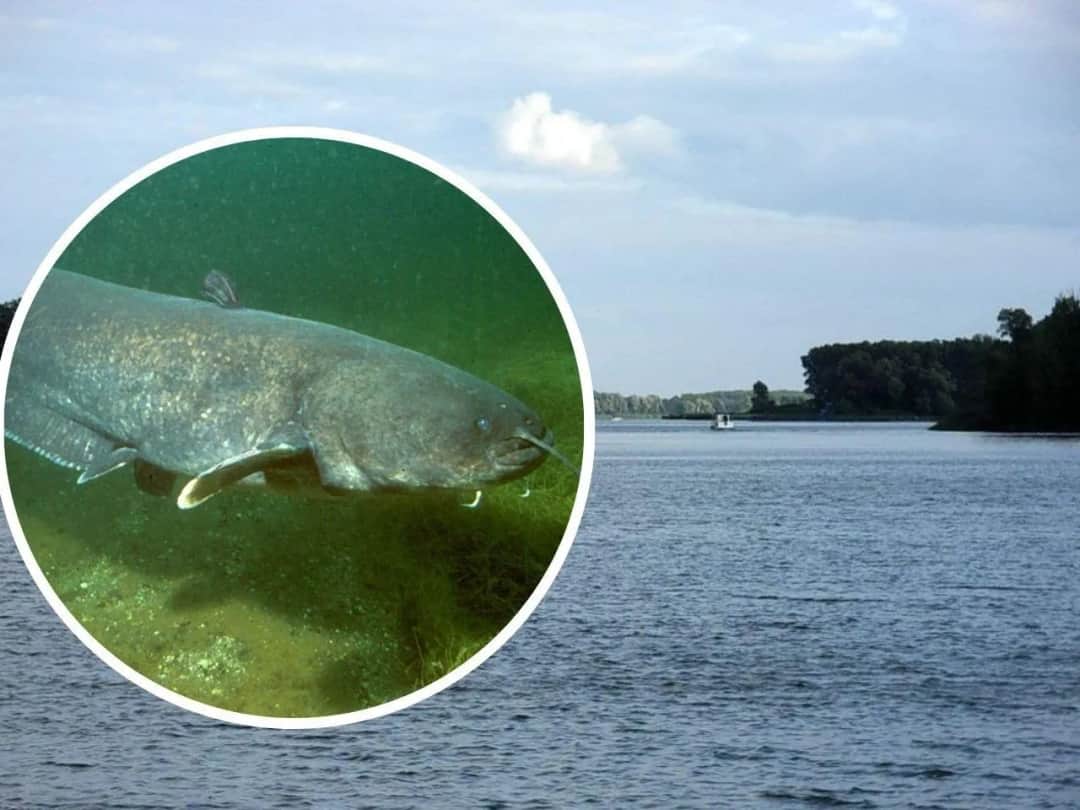 Jezioro Skulskie – malownicze miejsce idealne na wędkowanie i relaks