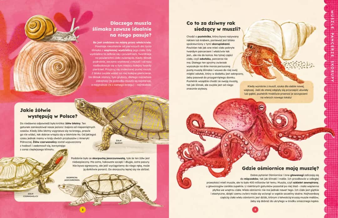 Fascynujące zwierzęta Azji - poznaj zachwycającą różnorodność gatunków