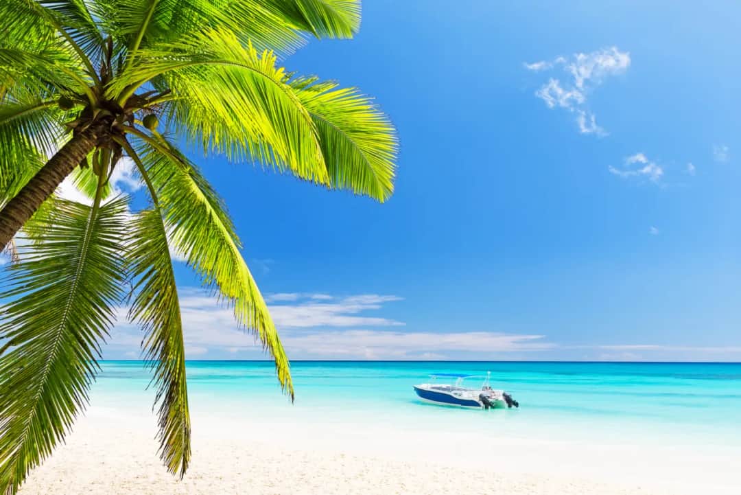 Dominikana: kiedy jechać? Najlepszy czas na wakacje w raju