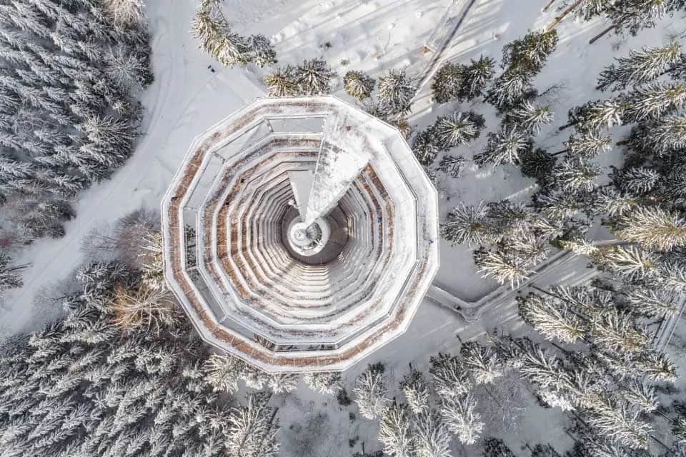 Spacer w koronach drzew Dolny Śląsk - niezapomniane wrażenia w naturze