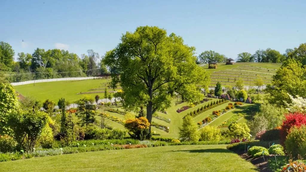Arboretum Wojsławice: najlepszy czas na wizytę i atrakcje