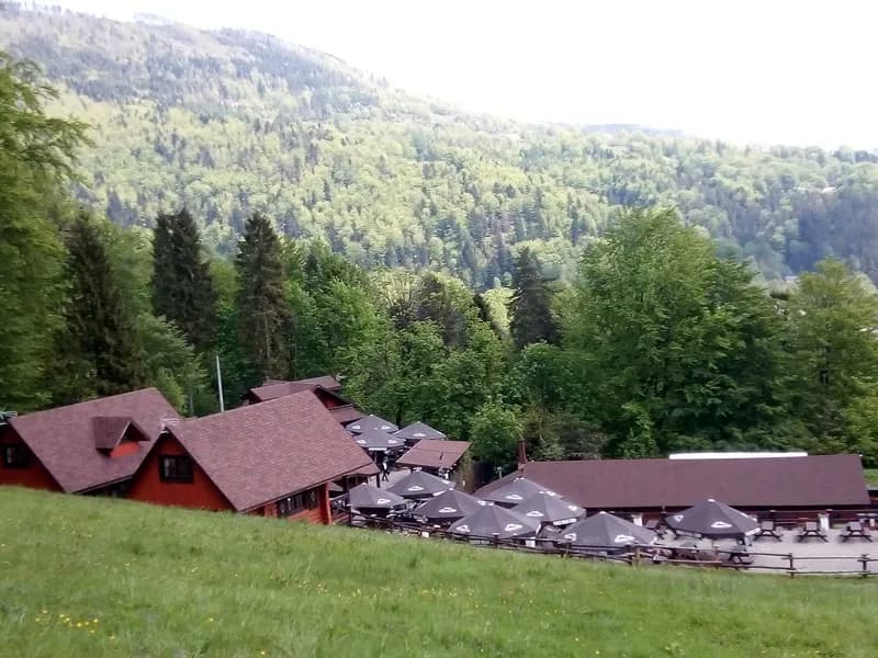 Najlepsze atrakcje w Brennej, które musisz zobaczyć na wakacjach