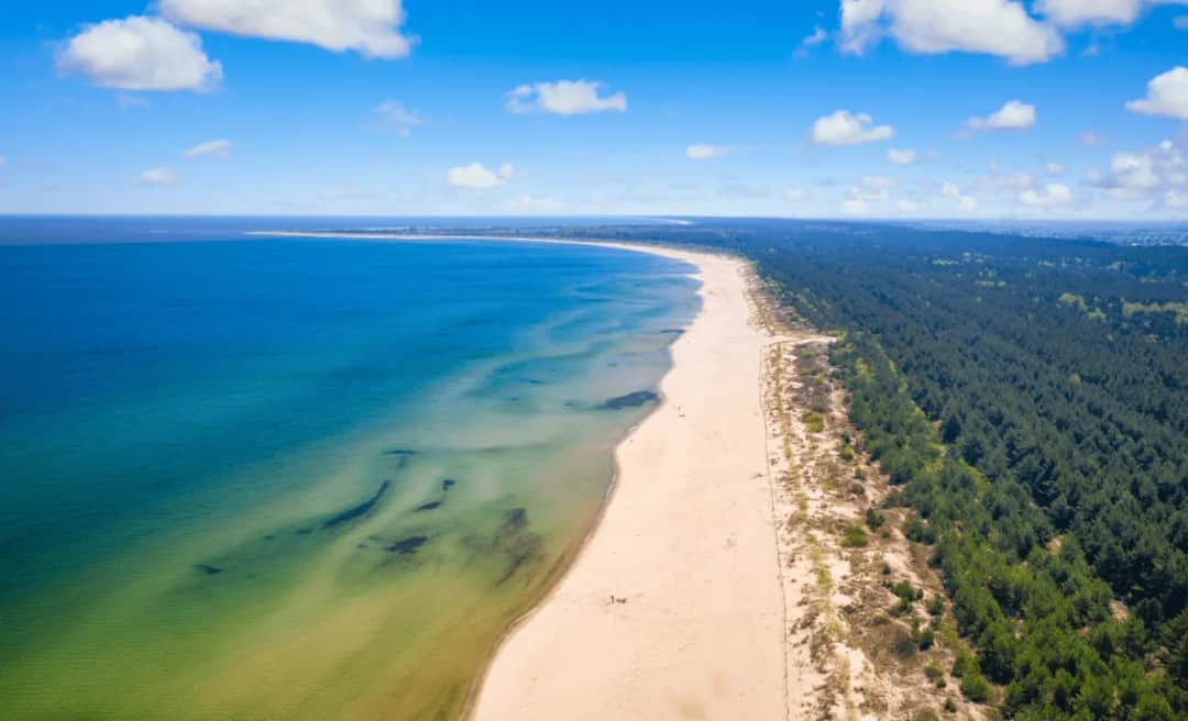 Co zobaczyć na Wyspie Sobieszewskiej? Niezapomniane atrakcje i miejsca