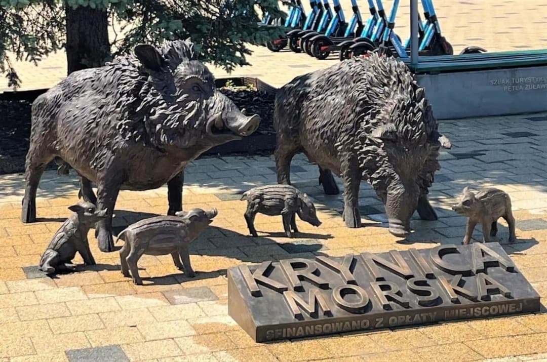 Dziki w Krynicy Morskiej: atrakcje przyrodnicze i rekreacyjne w Krynicy Morskiej