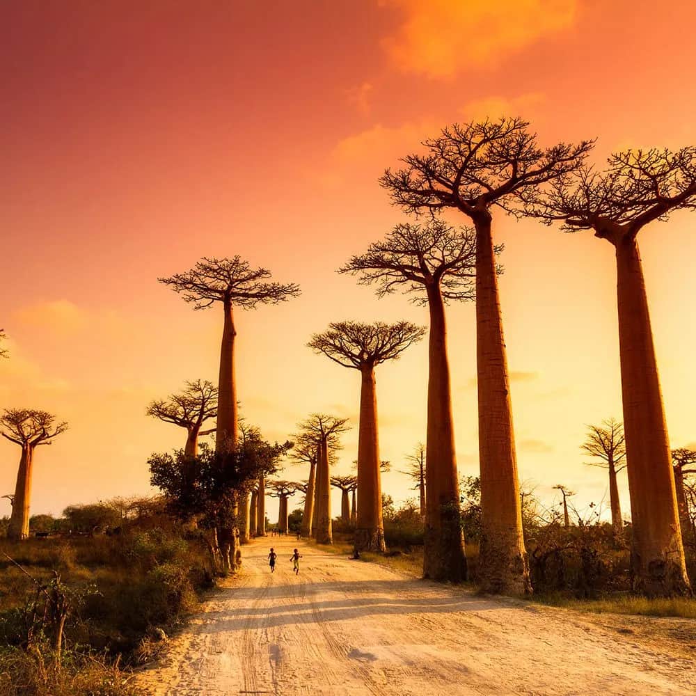 Kiedy jechać na Madagaskar? Najlepszy czas na podróż marzeń